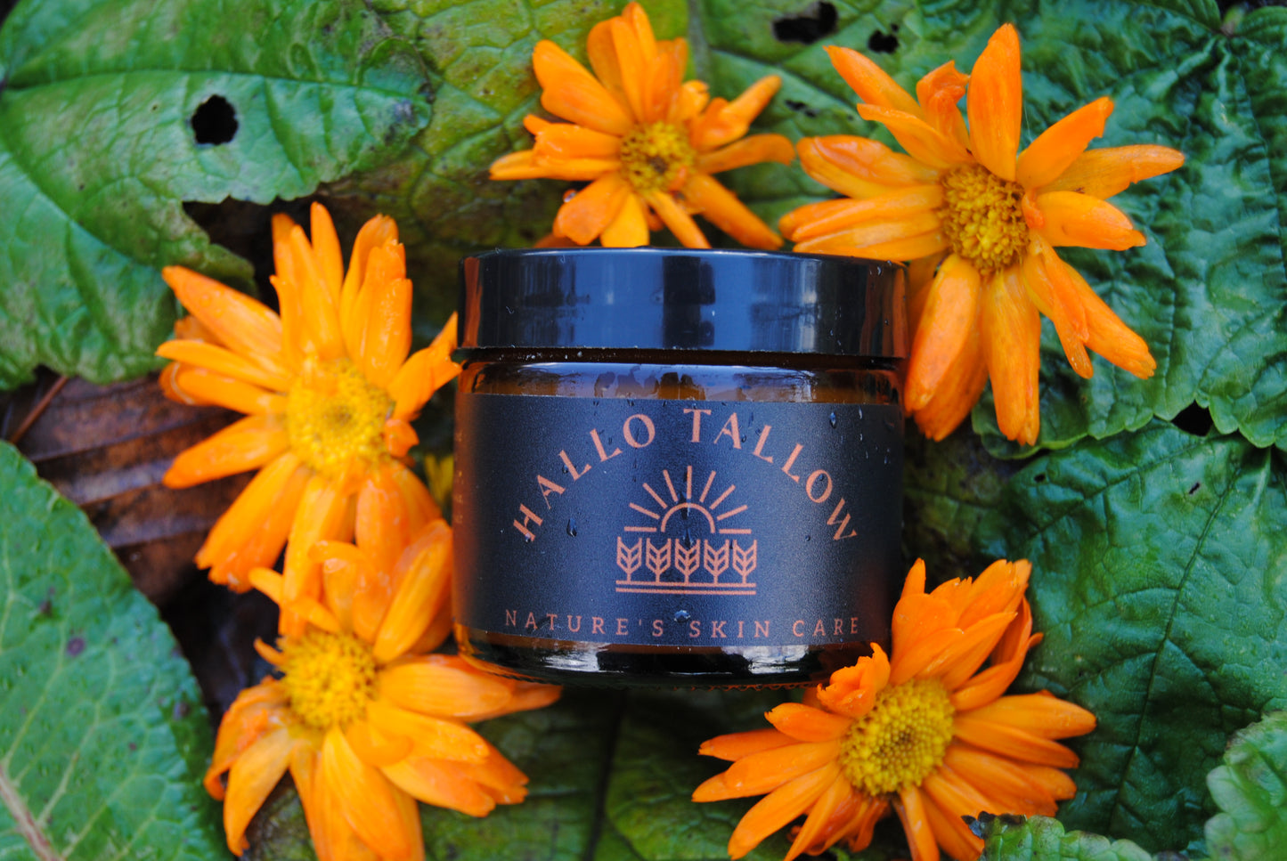 Wildflower & Sea Salt Tallow Face Cream