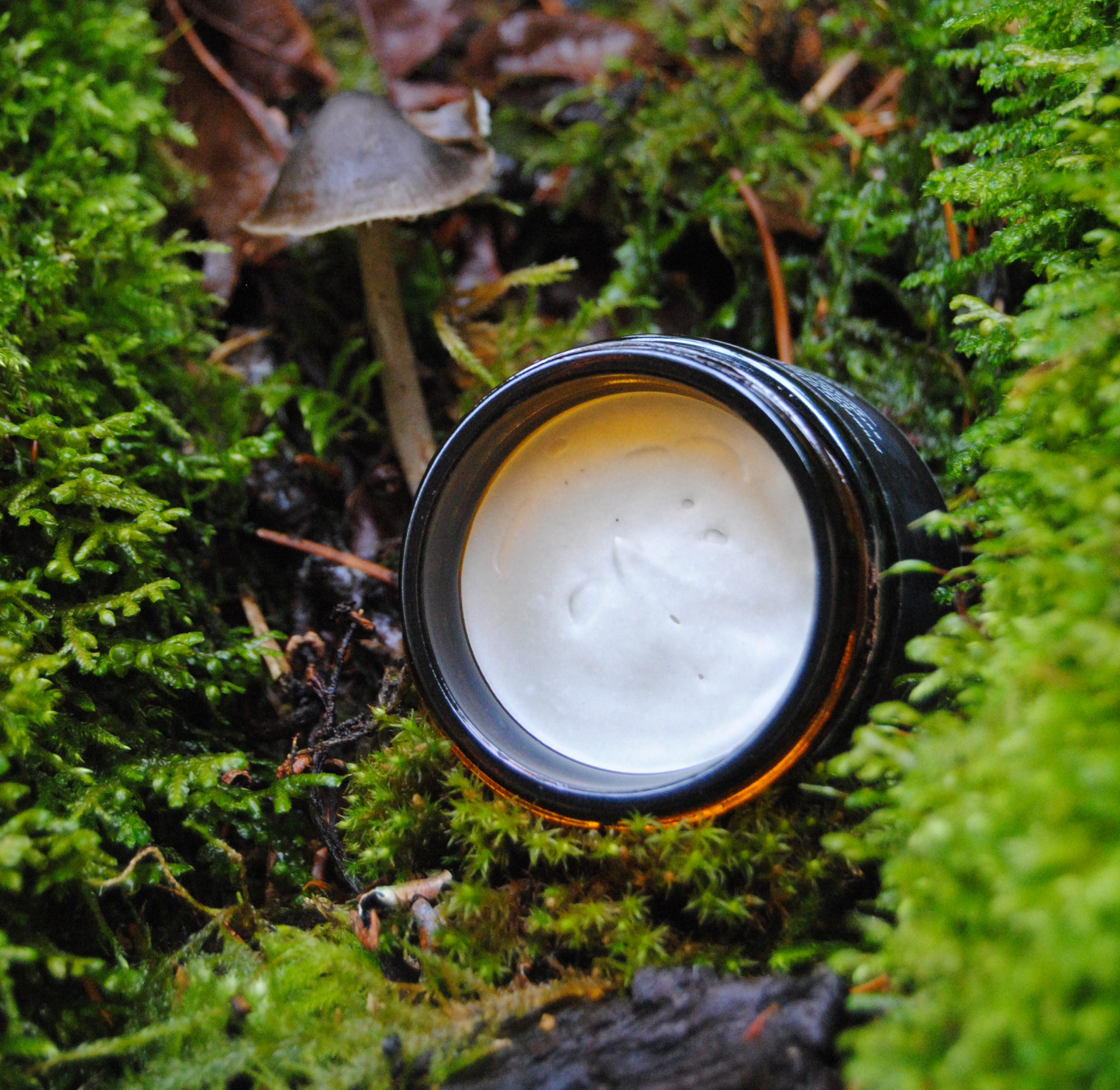 Morning Grove Detoxifying Balm
